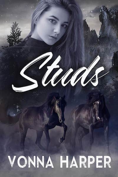 Book cover for 